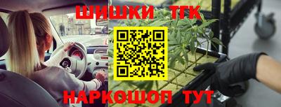 тгк Краснознаменск
