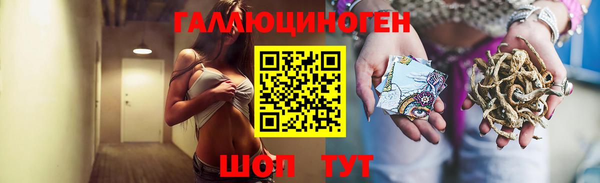 Псилоцибиновые грибы мицелий  Вход с VPN  Зеленогорск 